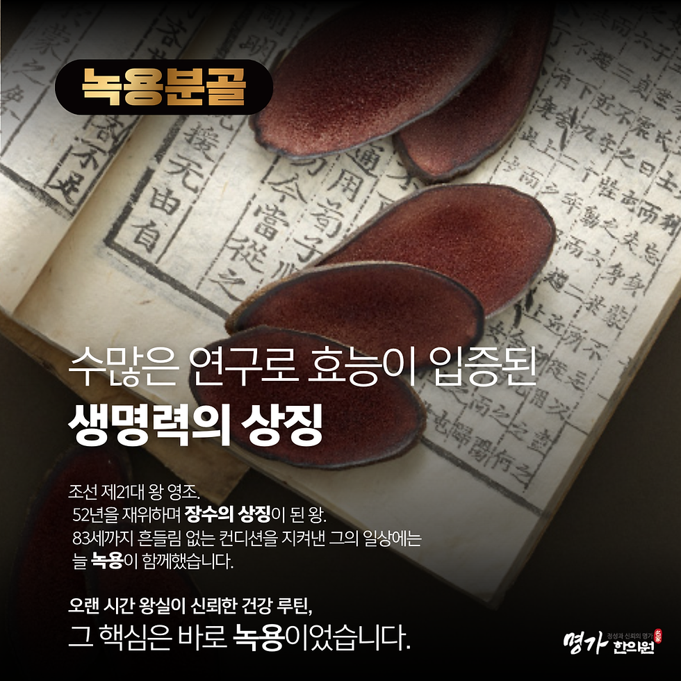 섬네일: 명가 공진단 1환