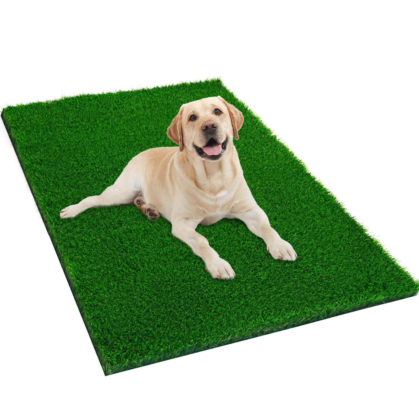 PuppyLawn 51" x 31.5" Indoor/Outdoor Dog Grass Mat