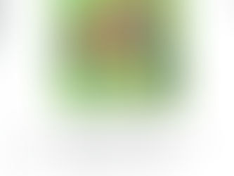 Prochain atelier Danses