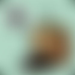 Formation au compostage