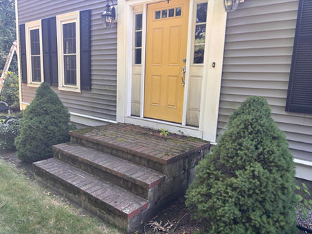 Roof Cleaning and Soft Washing Companies Near Me Plainville MA