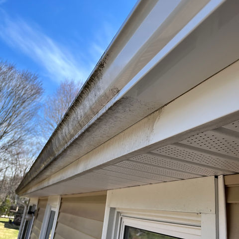 Clean Inter and Exterior Gutters in North Attleboro MA