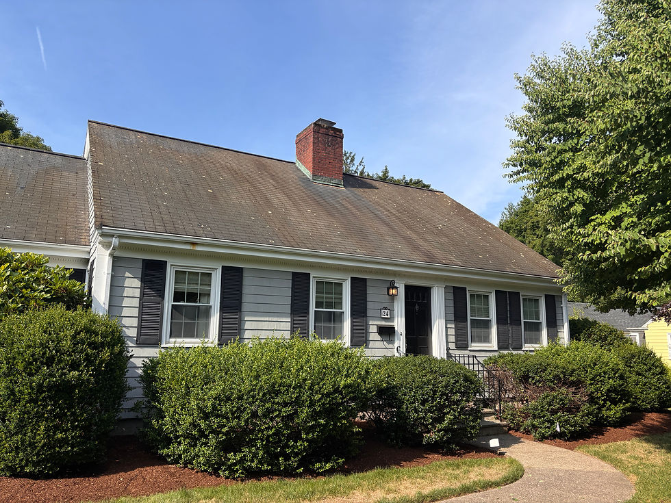Professional Roof Cleaning Companies Near Me Attleboro MA