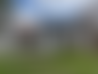 Looking for a roof cleaning company near me?