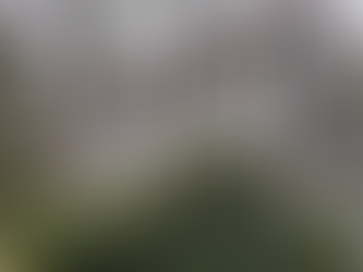 Gutter Cleaning and house washing in Mansfield MA