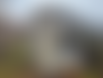 Gutter Cleaning and House Washing in Wrentham MA