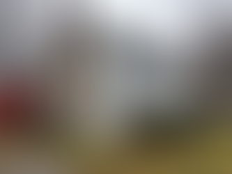 Gutter Cleaning in Plainville MA