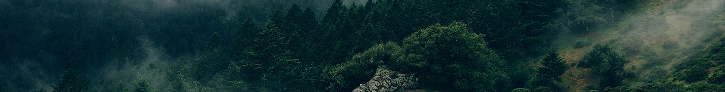 La niebla y la naturaleza