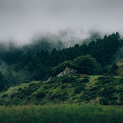 Fog and Nature