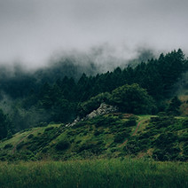 Nevoeiro e Natureza