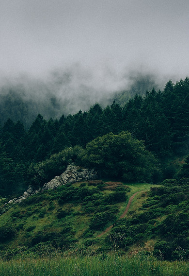 Scottish hill scene