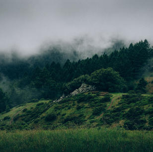 untitled image