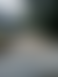 Stone driveway with cobblestone apron