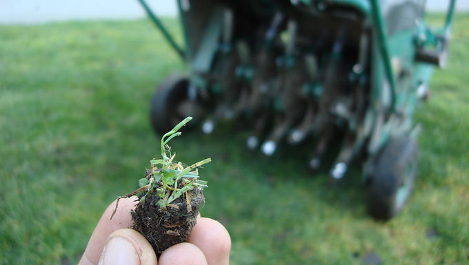 Turf Grass Aeration