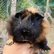 IMG_1680 (1)_edited.jpg