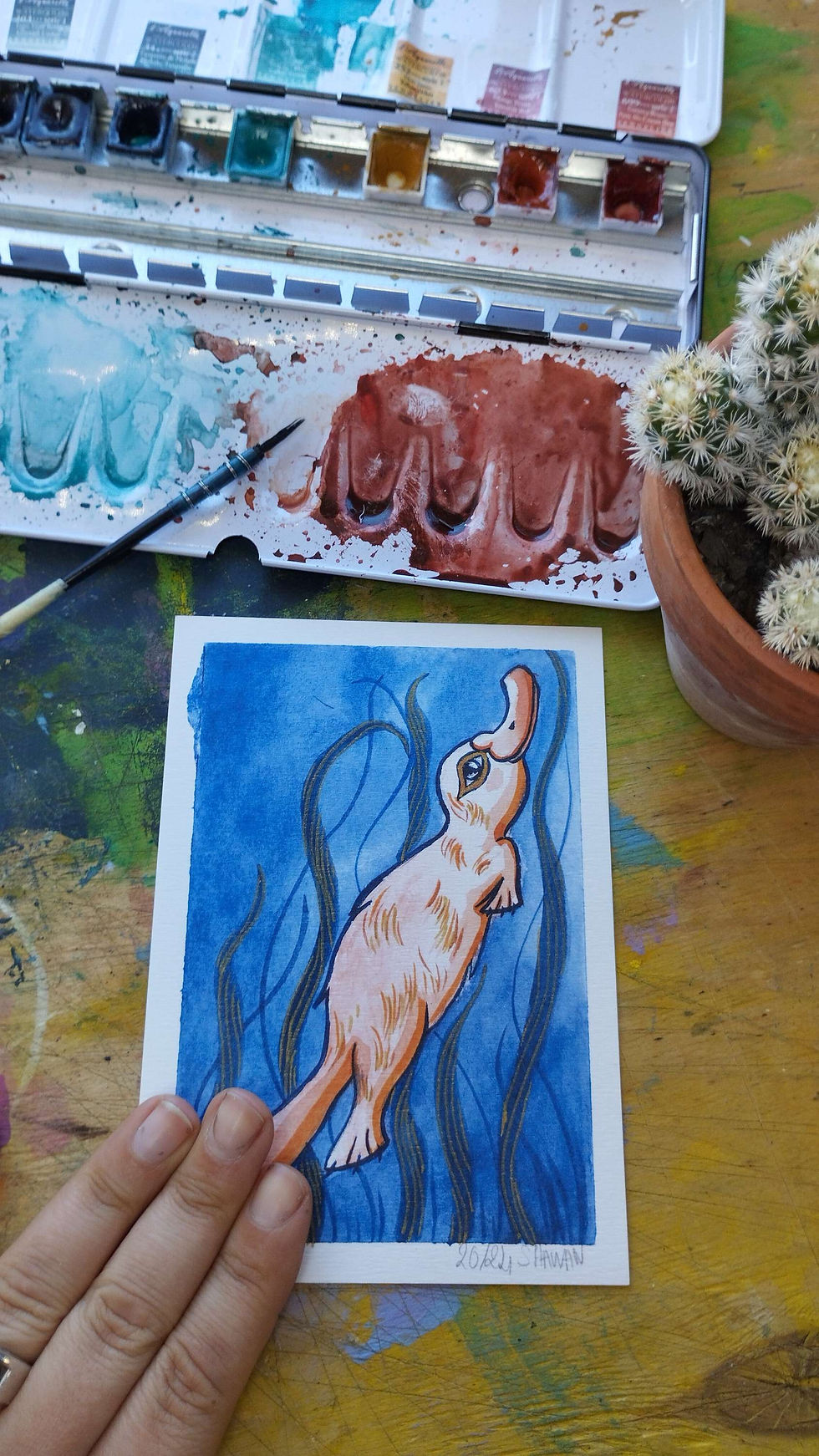 Miniature : Ornithorynque _ Hybrides