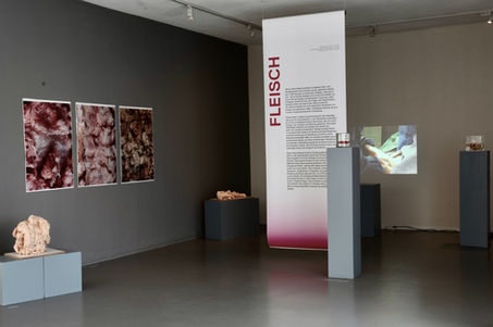 Ausstellungsfoto