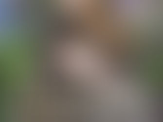 Konzert mit Maria Schüritz am. in der KUNSTHALLE Dessau,Ratsgasse