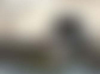 Finissage Kerstin Grimm am 18.April ab 16.00 Uhr in unserer KUNSTHALLE,Ratsgasse