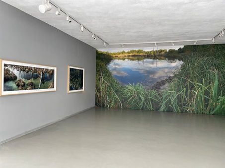 Ausstellungsfoto