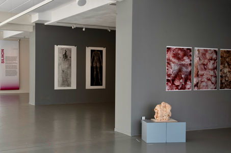 Ausstellungsfoto