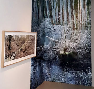 Ausstellungsfoto- © scharhouna
