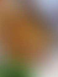 Easy Sheet Pan Chicken Tacos