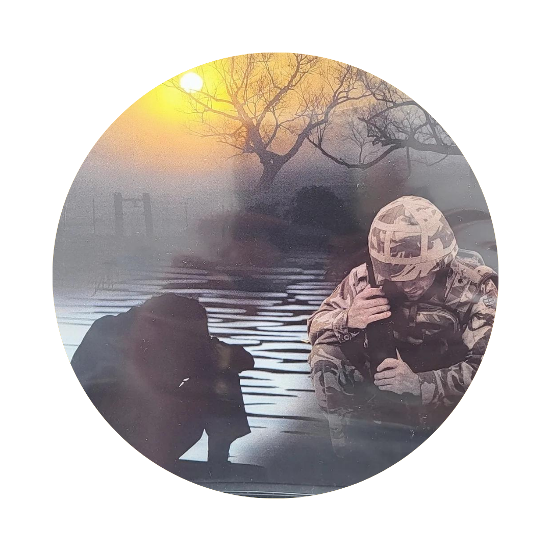 Historias de sanación y esperanza: trastorno de estrés postraumático, trauma y suicidio (DVD)