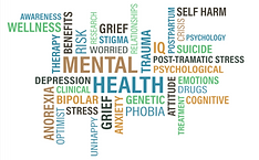 Highlighted here is the story of how a minister constructed a sermon series on mental illness based on his own struggles around mental health.