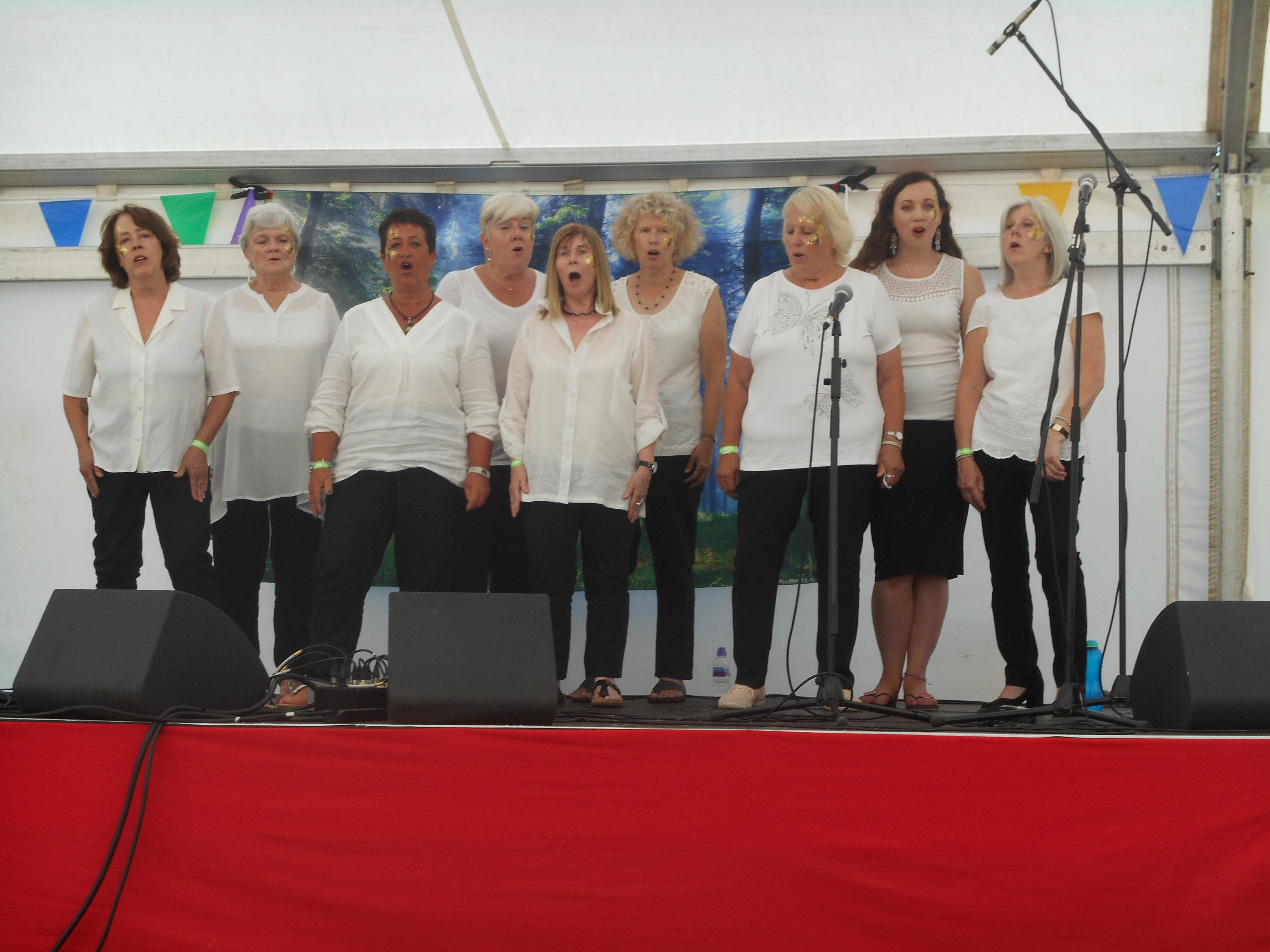 Moors Edge Festival 2018