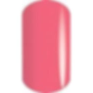 OPTIONS CORAL ROSE