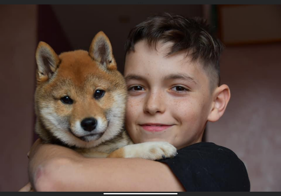 Ewans avec Plume, femelle Shiba Inu des Sylphes Enchantées