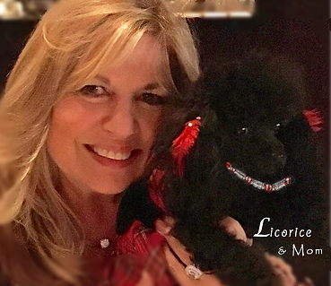Love Dogs with Loving Moms; Pocket Poodles with Pet Lovers. Luxury Dog Collars
