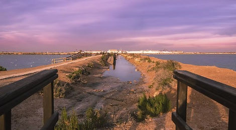 SAN PEDRO DEL PINATAR.jpg