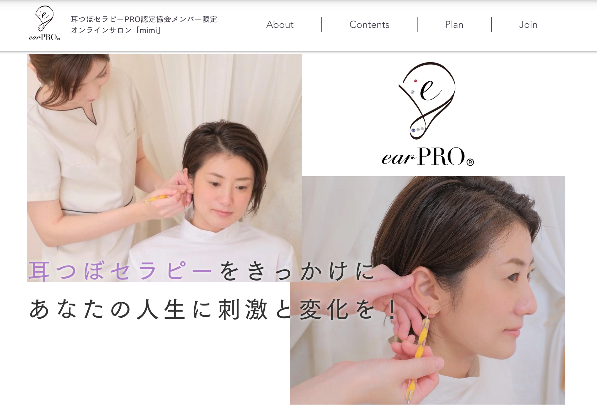 miho様【修了証発行】耳つぼジュエリーセラピスト通信講座 リスキー