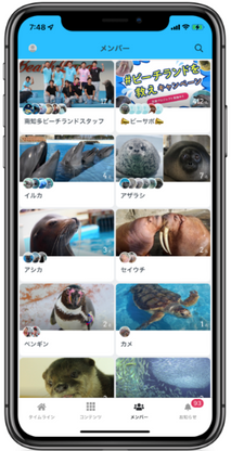 メンバー