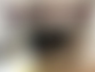 Wolf Oven Won't Turn Off. Thermostat replaced