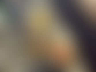 🧰 Wolf Range Oven Repair Service – Los Angeles