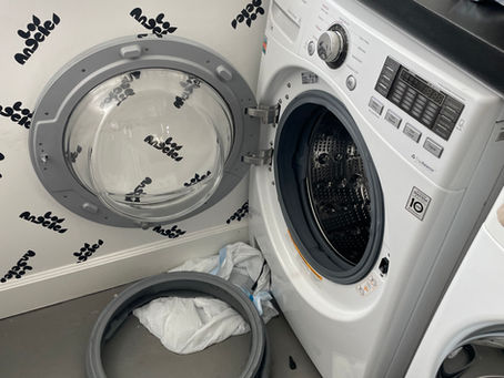 Service Summary: LG Washer Odor and Mold Issue Repair