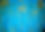 DSC_0107.jpg