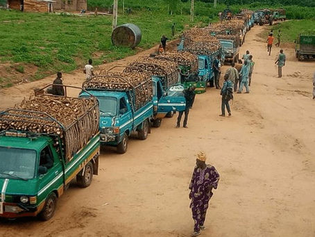 Yemisi Iranloye: Transforming Nigeria’s Cassava Industry and Empowering Rural Communities