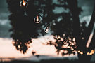 kristopher-allison-7V6lXgHrBrg-unsplash.jpg