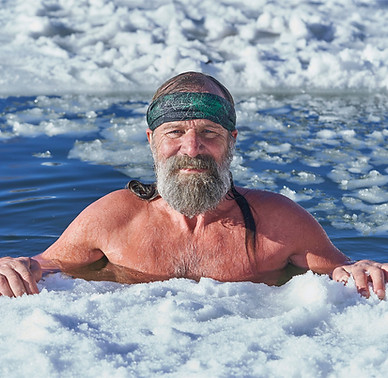 Ice Bath Hawaii LLC