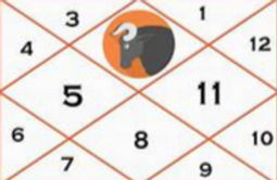 taurus lagna_edited_edited.jpg