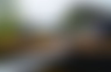 A la découverte des légendes des Landes et du Pacifique