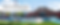 wix web banner (8).png