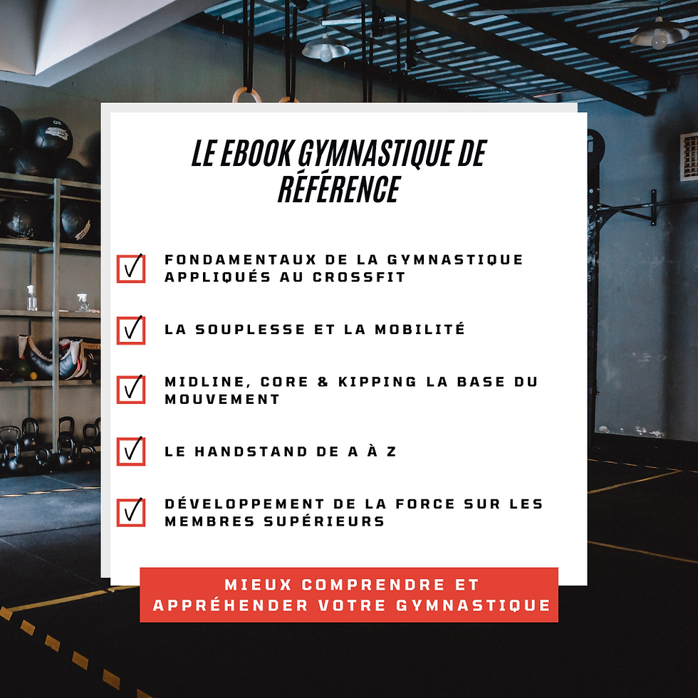 Miniature : EBOOK TS GYMNASTICS CONCEPT COURSE