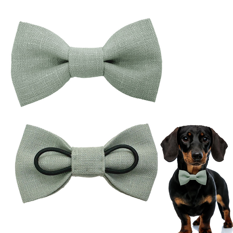 Miniaturbild: Light Sage Green Dog Bow tie from different angles