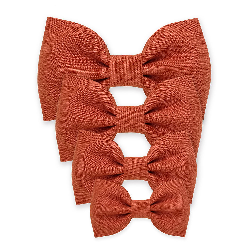 Rust Bow tie