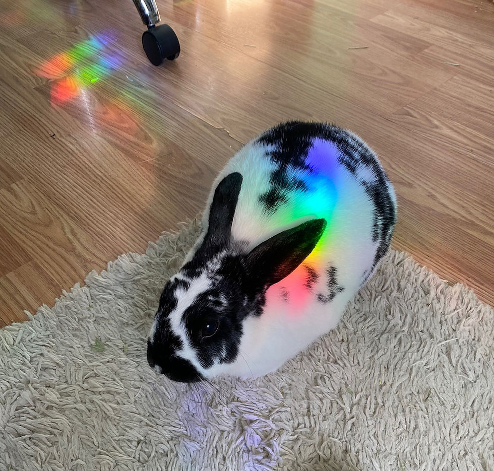 Thumbnail: Follow Your Magic Suncatcher